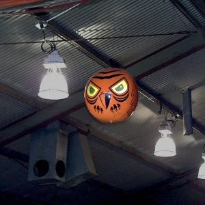 Terror Eyes, Inflatable Bird Repeller